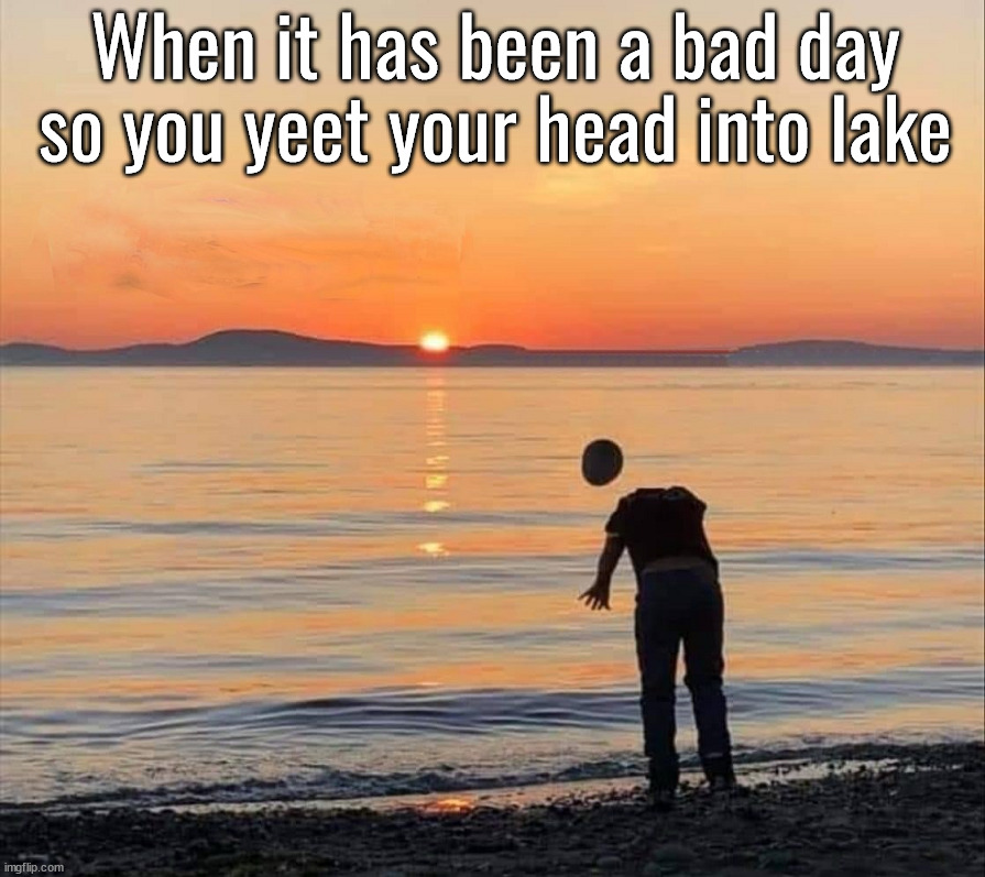 Yeeting yourself | When it has been a bad day so you yeet your head into lake | image tagged in yeet,having a bad day | made w/ Imgflip meme maker