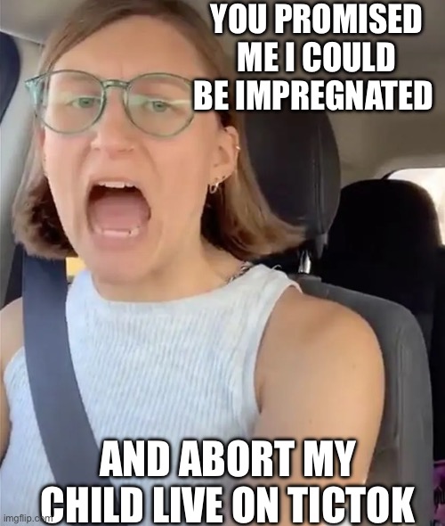 Yep | YOU PROMISED ME I COULD BE IMPREGNATED; AND ABORT MY CHILD LIVE ON TICTOK | image tagged in unhinged liberal lunatic idiot woman meltdown screaming in car | made w/ Imgflip meme maker
