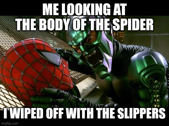 Spiderman and Green Goblin | ME LOOKING AT THE BODY OF THE SPIDER I WIPED OFF WITH THE SLIPPERS | image tagged in spiderman and green goblin | made w/ Imgflip meme maker