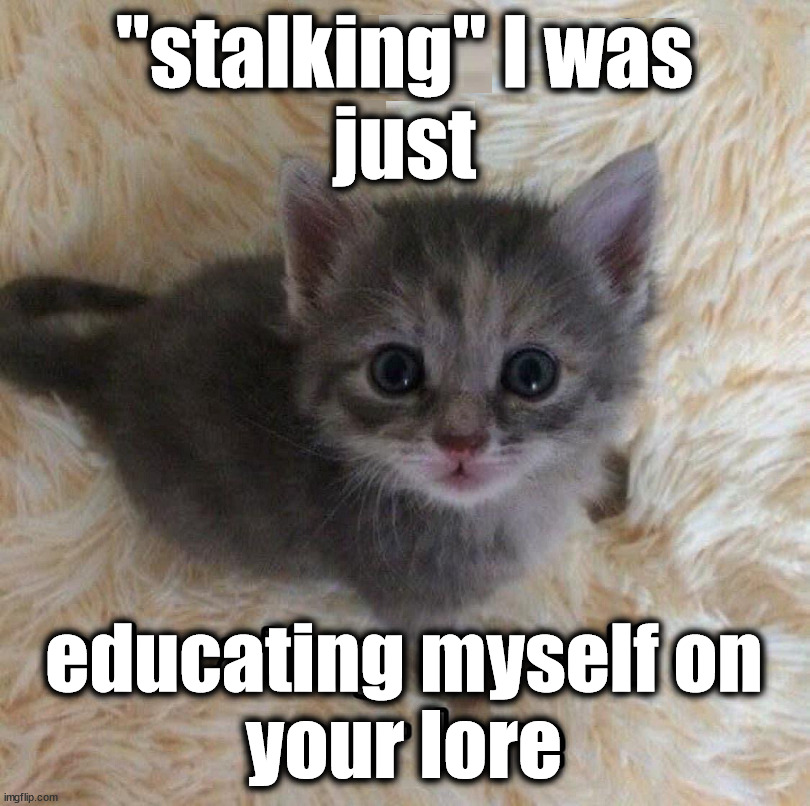 Stalking cat | "stalking" I was
just; educating myself on
your lore | image tagged in cats | made w/ Imgflip meme maker