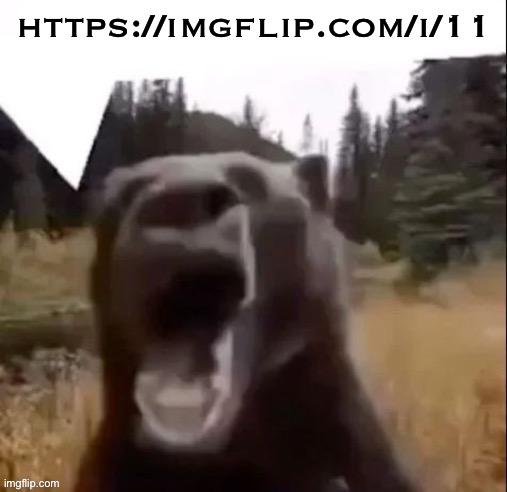 Fedy Faber | https://imgflip.com/i/11 | image tagged in fedy faber | made w/ Imgflip meme maker