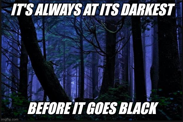 Dark | IT'S ALWAYS AT ITS DARKEST; BEFORE IT GOES BLACK | image tagged in dark forest,funny memes | made w/ Imgflip meme maker