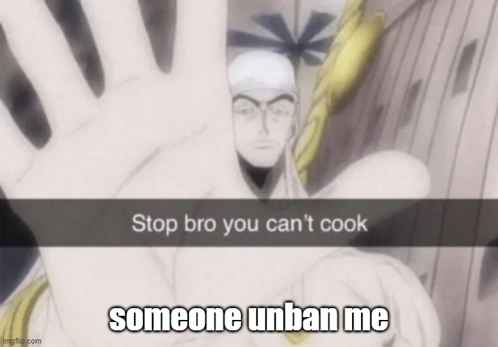 Stop bro you can't cook | someone unban me | image tagged in stop bro you can't cook | made w/ Imgflip meme maker