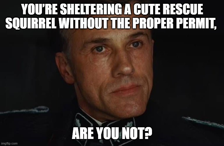 Peanut's captor | YOU’RE SHELTERING A CUTE RESCUE SQUIRREL WITHOUT THE PROPER PERMIT, ARE YOU NOT? | image tagged in are you not | made w/ Imgflip meme maker