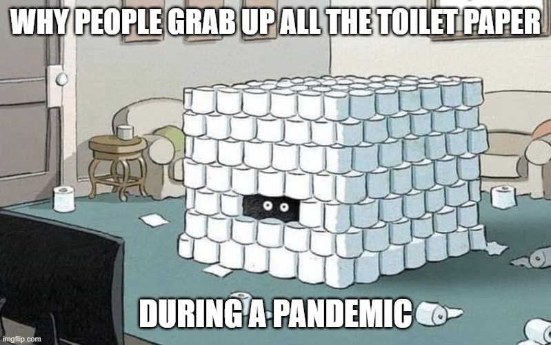 Coronavirus bunker | WHY PEOPLE GRAB UP ALL THE TOILET PAPER; DURING A PANDEMIC | image tagged in coronavirus bunker | made w/ Imgflip meme maker