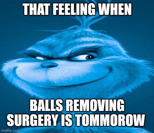 Blue Grinch | THAT FEELING WHEN; BALLS REMOVING SURGERY IS TOMMOROW | image tagged in blue grinch | made w/ Imgflip meme maker