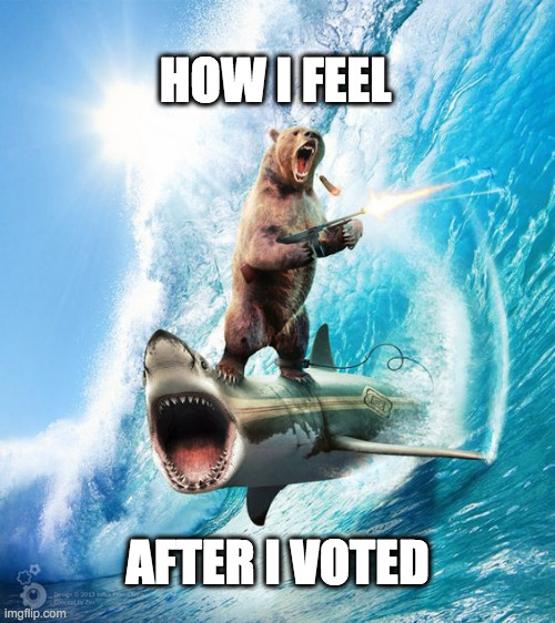 vote | HOW I FEEL; AFTER I VOTED | image tagged in awesome shark bear | made w/ Imgflip meme maker