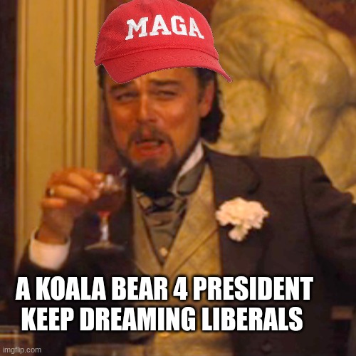 TRUMP 2024 VOTE NOW FOR TRUMP | A KOALA BEAR 4 PRESIDENT KEEP DREAMING LIBERALS | image tagged in memes,laughing leo,trump | made w/ Imgflip meme maker