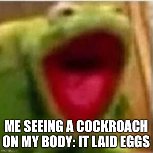 AHHHHHHHHHHHHH | ME SEEING A COCKROACH ON MY BODY: IT LAID EGGS | image tagged in ahhhhhhhhhhhhh | made w/ Imgflip meme maker