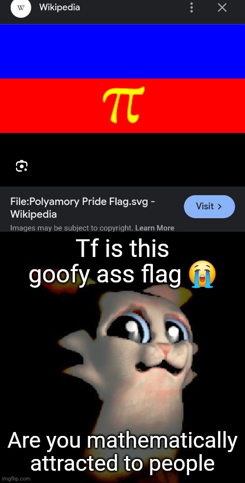 Tf is this goofy ass flag 😭; Are you mathematically attracted to people | image tagged in brotha ew | made w/ Imgflip meme maker