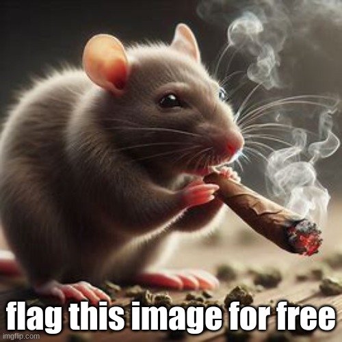 flag this image for free | flag this image for free | image tagged in flag this image for free | made w/ Imgflip meme maker