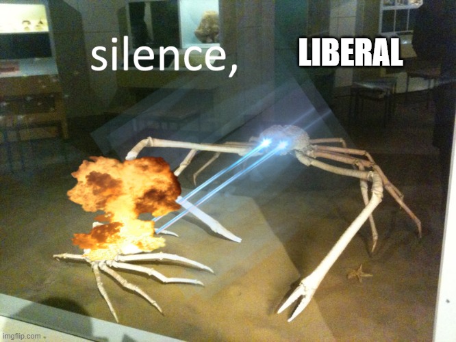 silence | LIBERAL | image tagged in silence | made w/ Imgflip meme maker