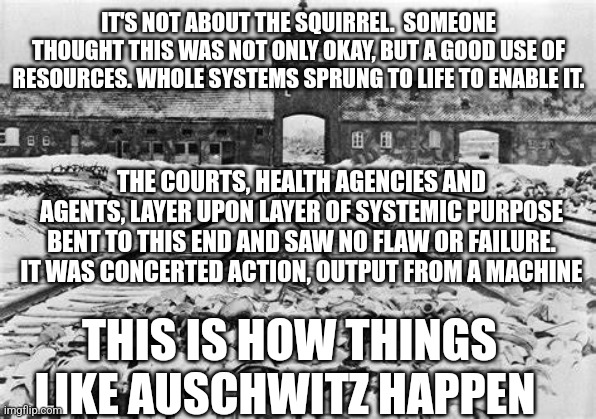 Government Sociopathy 2 | IT'S NOT ABOUT THE SQUIRREL.  SOMEONE THOUGHT THIS WAS NOT ONLY OKAY, BUT A GOOD USE OF RESOURCES. WHOLE SYSTEMS SPRUNG TO LIFE TO ENABLE IT. THE COURTS, HEALTH AGENCIES AND AGENTS, LAYER UPON LAYER OF SYSTEMIC PURPOSE BENT TO THIS END AND SAW NO FLAW OR FAILURE.
IT WAS CONCERTED ACTION, OUTPUT FROM A MACHINE; THIS IS HOW THINGS LIKE AUSCHWITZ HAPPEN | image tagged in auschwitz | made w/ Imgflip meme maker