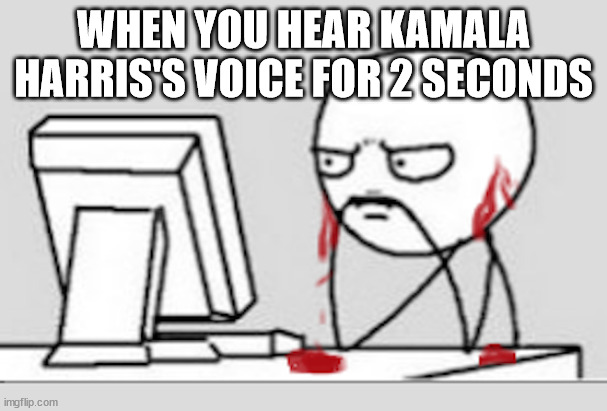 Ears Bleeding | WHEN YOU HEAR KAMALA HARRIS'S VOICE FOR 2 SECONDS | image tagged in ears bleeding | made w/ Imgflip meme maker