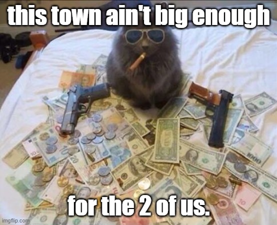 thug life cat with guns and money | this town ain't big enough for the 2 of us. | image tagged in thug life cat with guns and money | made w/ Imgflip meme maker