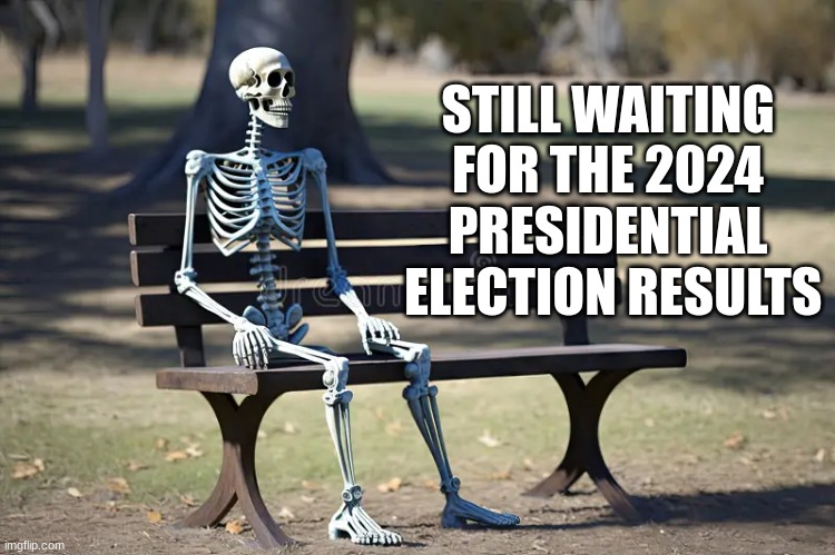 Dead right! | STILL WAITING FOR THE 2024 PRESIDENTIAL  ELECTION RESULTS | image tagged in walking dead | made w/ Imgflip meme maker