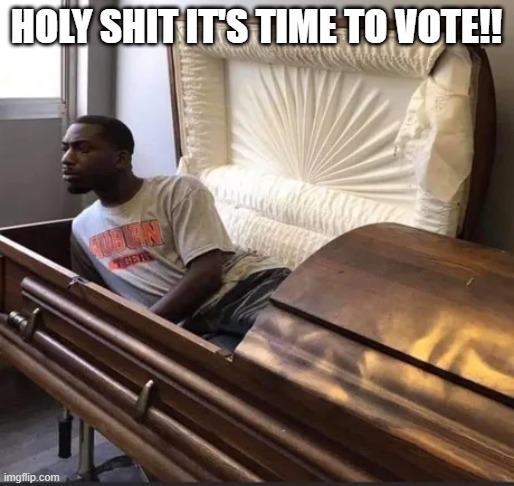 LOL!!! | HOLY SHIT IT'S TIME TO VOTE!! | image tagged in coffin,democrats,election,vote,dead | made w/ Imgflip meme maker