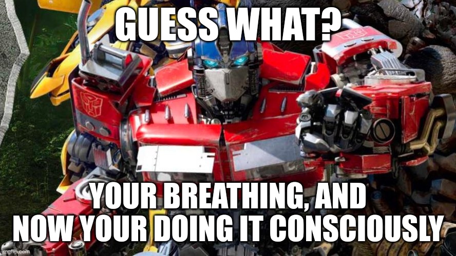 Optimus Prime points at you | GUESS WHAT? YOUR BREATHING, AND NOW YOUR DOING IT CONSCIOUSLY | image tagged in optimus prime points at you | made w/ Imgflip meme maker