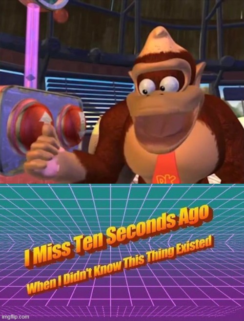 DK's Hair | image tagged in i miss ten seconds ago,donkey kong | made w/ Imgflip meme maker