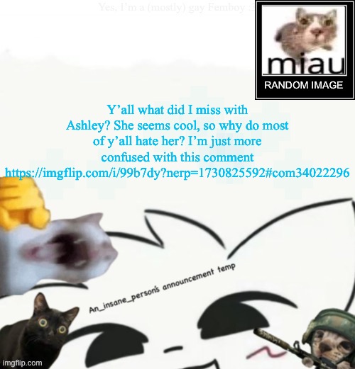 My lil announcement | Y’all what did I miss with Ashley? She seems cool, so why do most of y’all hate her? I’m just more confused with this comment https://imgflip.com/i/99b7dy?nerp=1730825592#com34022296 | image tagged in my lil announcement | made w/ Imgflip meme maker