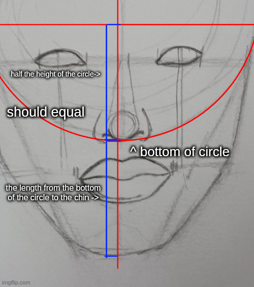 if you dont understand ask questions | half the height of the circle->; should equal; ^ bottom of circle; the length from the bottom of the circle to the chin -> | made w/ Imgflip meme maker