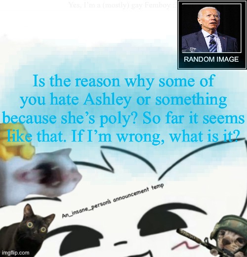My lil announcement | Is the reason why some of you hate Ashley or something because she’s poly? So far it seems like that. If I’m wrong, what is it? | image tagged in my lil announcement | made w/ Imgflip meme maker