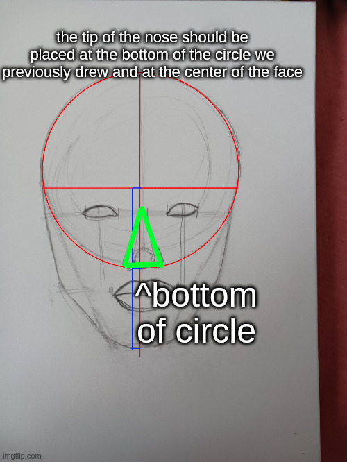 the tip of the nose should be placed at the bottom of the circle we previously drew and at the center of the face; ^bottom of circle | made w/ Imgflip meme maker