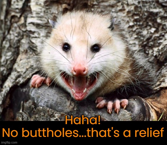 Haha!
No buttholes...that's a relief | made w/ Imgflip meme maker