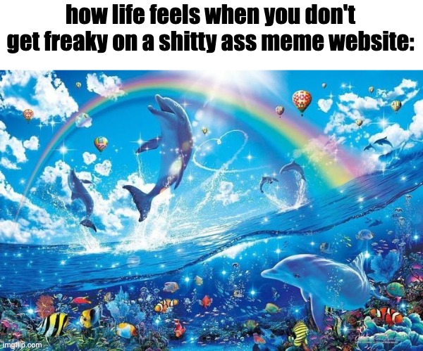 Happy dolphin rainbow | how life feels when you don't get freaky on a shitty ass meme website: | image tagged in happy dolphin rainbow | made w/ Imgflip meme maker