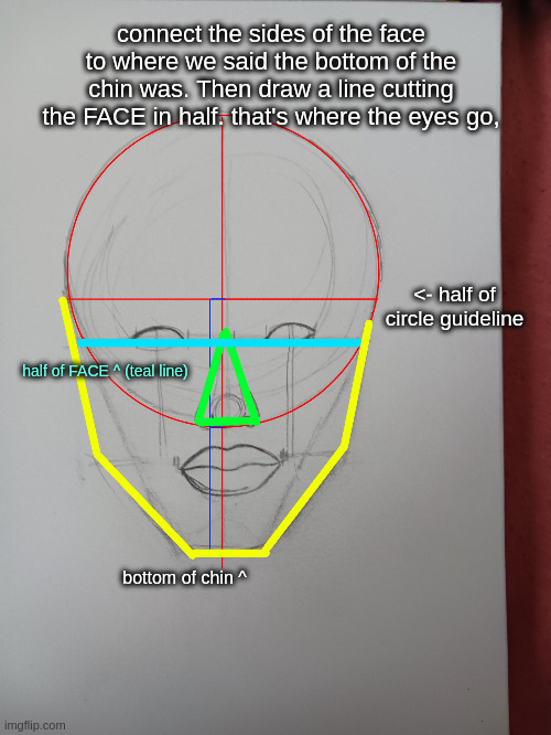 connect the sides of the face to where we said the bottom of the chin was. Then draw a line cutting the FACE in half. that's where the eyes go, <- half of circle guideline; half of FACE ^ (teal line); bottom of chin ^ | made w/ Imgflip meme maker