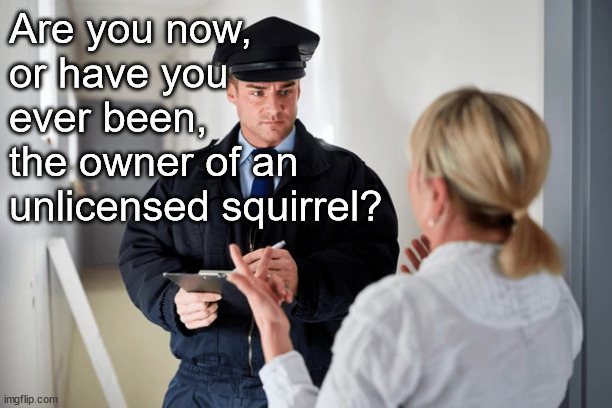 We're from the government, and we're here to help | Are you now, or have you ever been, 
the owner of an unlicensed squirrel? | made w/ Imgflip meme maker