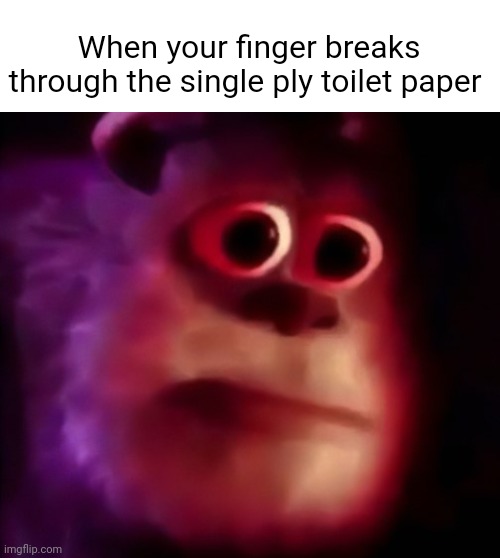 That stuff is not finger-proof. | When your finger breaks through the single ply toilet paper | image tagged in mmm,toilet paper,accidental prostate exam | made w/ Imgflip meme maker