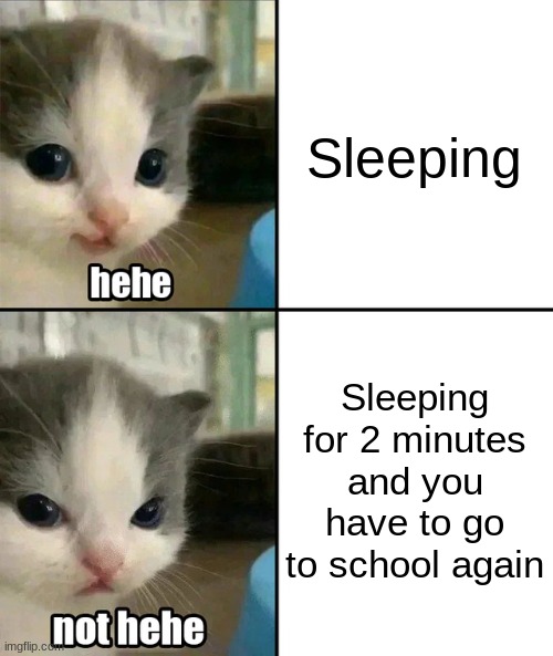 Cute cat hehe and not hehe | Sleeping; Sleeping for 2 minutes and you have to go to school again | image tagged in cute cat hehe and not hehe | made w/ Imgflip meme maker