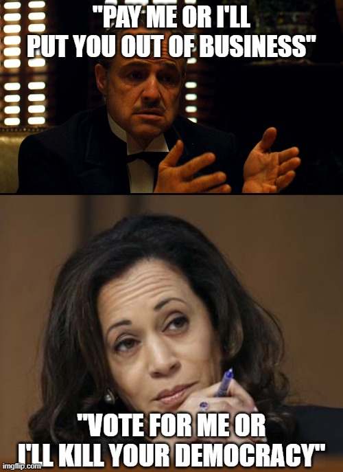 Kamala's been running a protection scheme when she says "Vote for her to protect democracy". | "PAY ME OR I'LL PUT YOU OUT OF BUSINESS"; "VOTE FOR ME OR I'LL KILL YOUR DEMOCRACY" | image tagged in don corleone,kamala harris | made w/ Imgflip meme maker