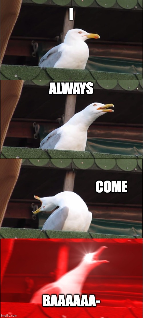 Inhaling Seagull | I; ALWAYS; COME; BAAAAAA- | image tagged in memes,inhaling seagull | made w/ Imgflip meme maker