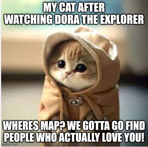 My cat after... | MY CAT AFTER WATCHING DORA THE EXPLORER; WHERES MAP? WE GOTTA GO FIND PEOPLE WHO ACTUALLY LOVE YOU! | image tagged in cute cat adventurer | made w/ Imgflip meme maker