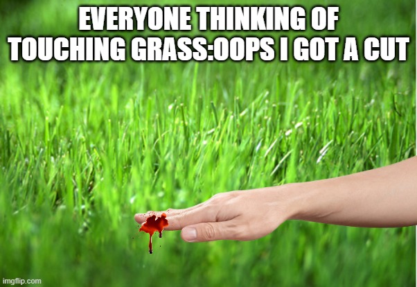 grass is greener | EVERYONE THINKING OF TOUCHING GRASS:OOPS I GOT A CUT | image tagged in grass is greener | made w/ Imgflip meme maker