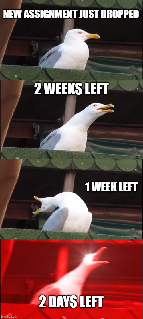 Inhaling Seagull | NEW ASSIGNMENT JUST DROPPED; 2 WEEKS LEFT; 1 WEEK LEFT; 2 DAYS LEFT | image tagged in memes,inhaling seagull | made w/ Imgflip meme maker