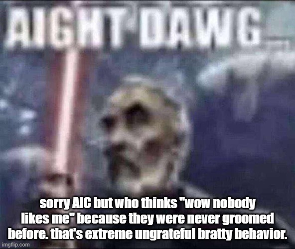 that's an insult to those who were groomed | sorry AIC but who thinks "wow nobody likes me" because they were never groomed before. that's extreme ungrateful bratty behavior. | image tagged in aight dawg | made w/ Imgflip meme maker