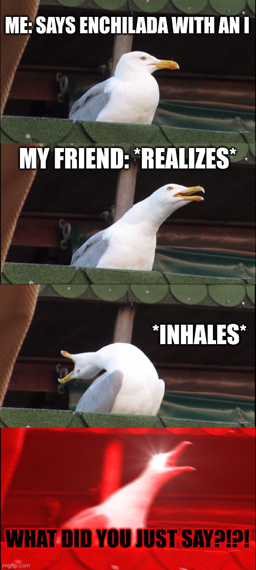 Inhaling Seagull | ME: SAYS ENCHILADA WITH AN I; MY FRIEND: *REALIZES*; *INHALES*; WHAT DID YOU JUST SAY?!?! | image tagged in memes,lol,lol so funny,haha,hilarious,funny | made w/ Imgflip meme maker