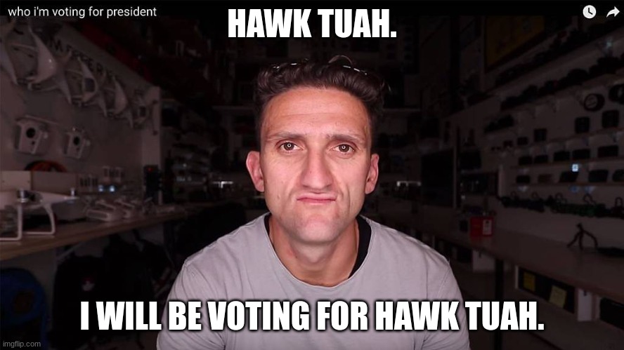 HAWK TUAH. I WILL BE VOTING FOR HAWK TUAH. | made w/ Imgflip meme maker