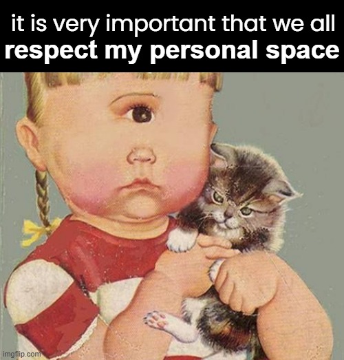 it is very important that we all respect my personal space | made w/ Imgflip meme maker