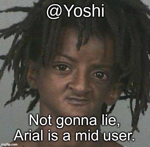 I hate him | Not gonna lie, Arial is a mid user. | image tagged in yoshi's cursed mugshot temp | made w/ Imgflip meme maker