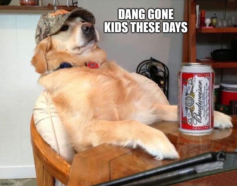 DANG GONE KIDS THESE DAYS | made w/ Imgflip meme maker