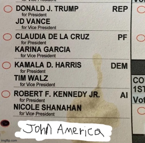 I just made this a new temp, write whichever name you want here | image tagged in the election if it was based | made w/ Imgflip meme maker