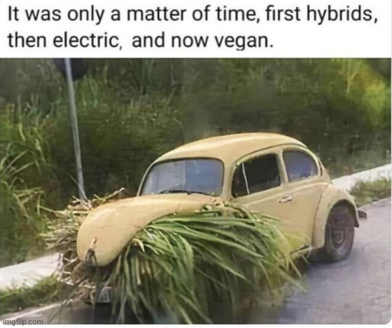 Vegan Beetle! | image tagged in vegan beetle,volkswagen,beetle,vegan,funny | made w/ Imgflip meme maker