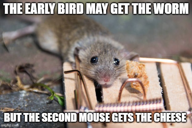 First Come, First Served | THE EARLY BIRD MAY GET THE WORM; BUT THE SECOND MOUSE GETS THE CHEESE | image tagged in mouse trap | made w/ Imgflip meme maker