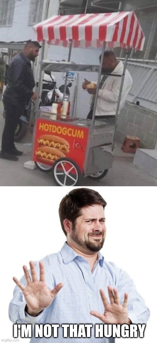 No thanks | I'M NOT THAT HUNGRY | image tagged in no thanks guy,hot dog | made w/ Imgflip meme maker