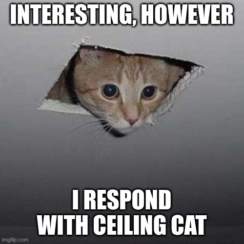 Ceiling Cat Meme | INTERESTING, HOWEVER I RESPOND WITH CEILING CAT | image tagged in memes,ceiling cat | made w/ Imgflip meme maker