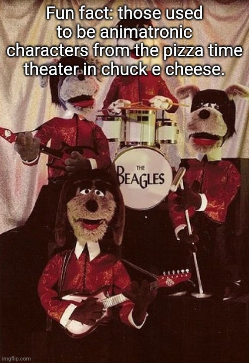 The beagles | Fun fact: those used to be animatronic characters from the pizza time theater in chuck e cheese. | image tagged in the beagles | made w/ Imgflip meme maker